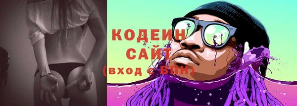 дживик Богородицк