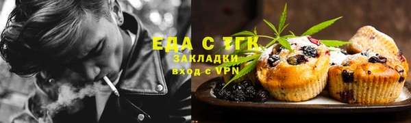 дживик Богородицк