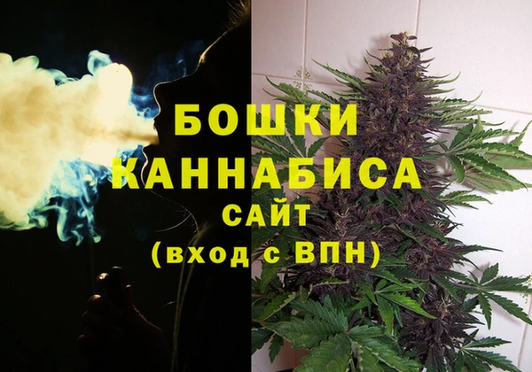 a pvp Богданович