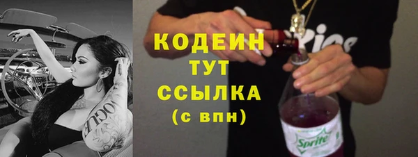 дживик Богородицк