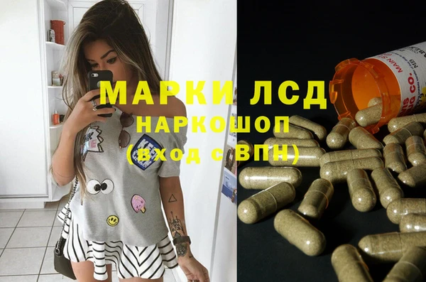дживик Богородицк