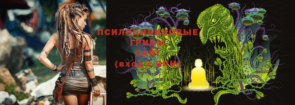 ПСИЛОЦИБИНОВЫЕ ГРИБЫ Богородск