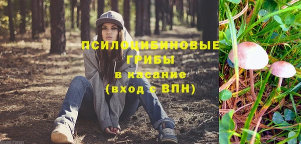 таблы Бородино