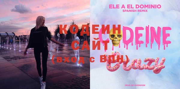 дживик Богородицк